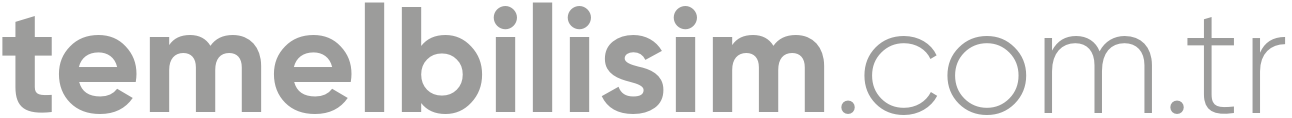 temelbilisim.com.tr